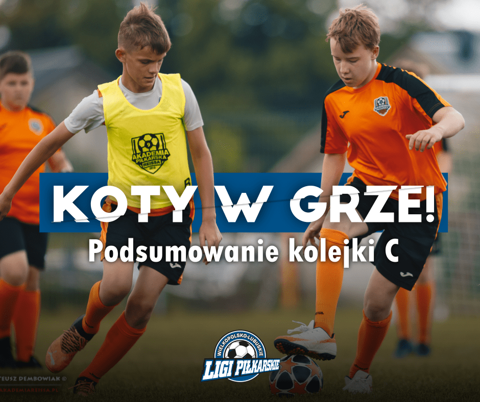 Koty w grze. Podsumowanie kolejki kat. C
